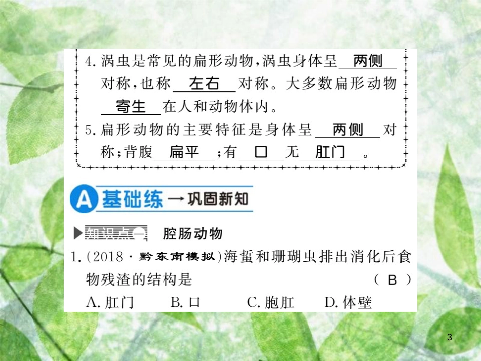 八年级生物上册 第五单元 第1章 第1节 腔肠动物和扁形动物习题优质课件 （新版）新人教版_第3页