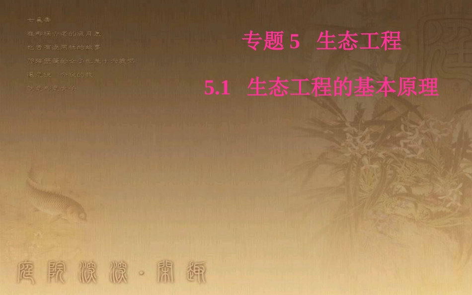 高中生物 专题5 生态工程 5.1 生态工程的基本原理优质课件 新人教版选修3_第1页