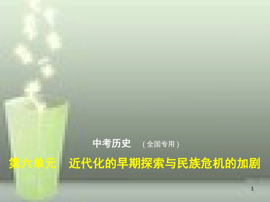 （全国版）2019中考历史总复习 第六单元 近代化的早期探索与民族危机的加剧（试卷部分）优质课件_第1页