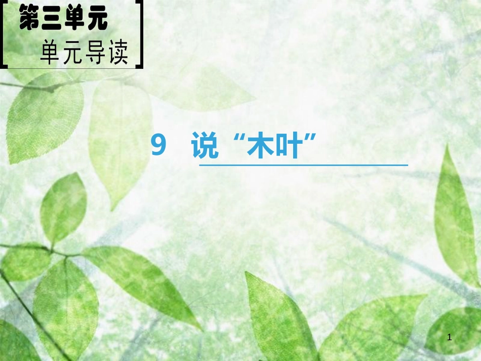 高中语文 第3单元 9 说“木叶”优质课件 新人教版必修5_第1页