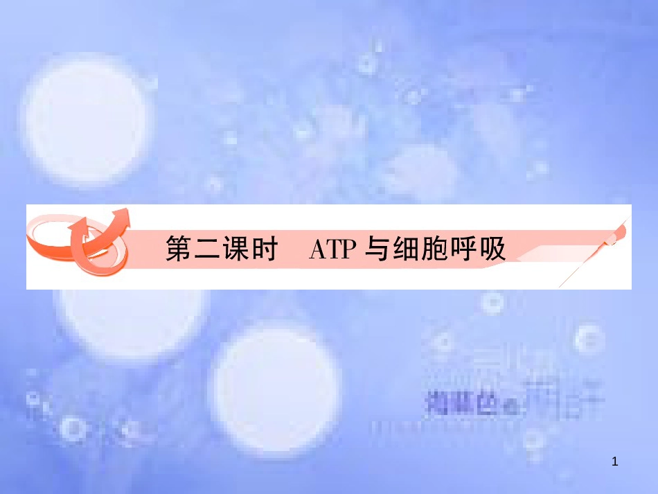 高三生物一轮复习 第五章 ATP的主要来源──细胞呼吸（第2课时）精品课件（必修3）_第1页