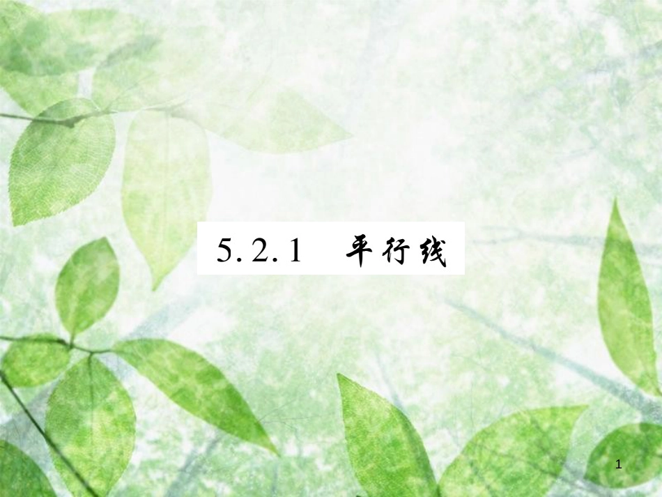 七年级数学上册 第5章 相交线与平行线 5.2 平行线 5.2.1 平行线练习优质课件 （新版）华东师大版_第1页