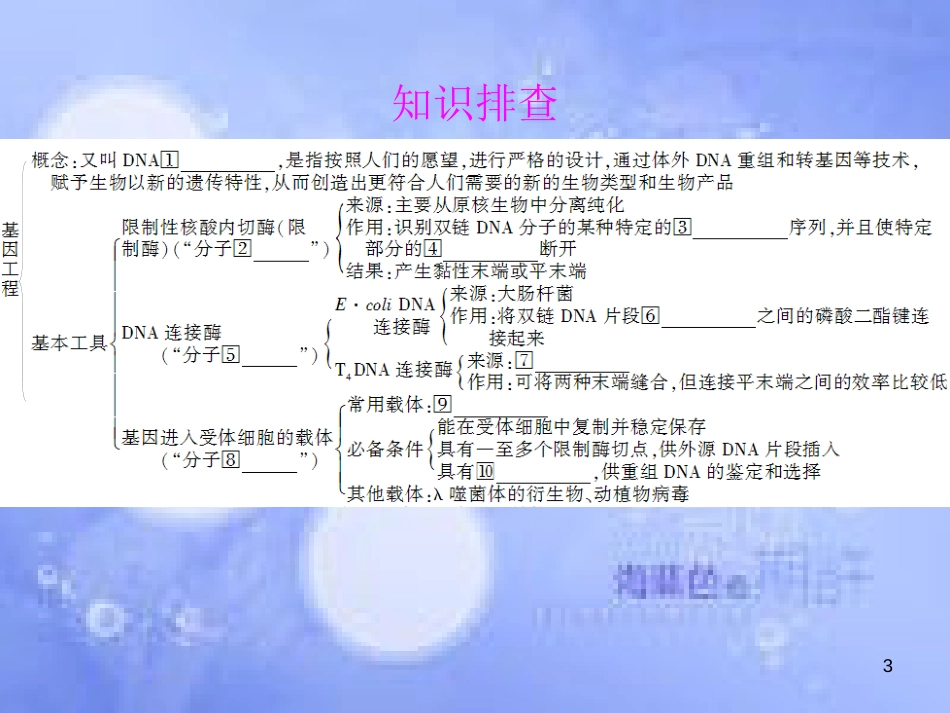 高三生物一轮复习 专题一 基因工程课件 新人教版选修3_第3页