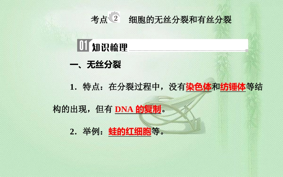 高中生物学业水平复习 专题四 细胞增殖 考点2 细胞的无丝分裂和有丝分裂优质课件_第2页