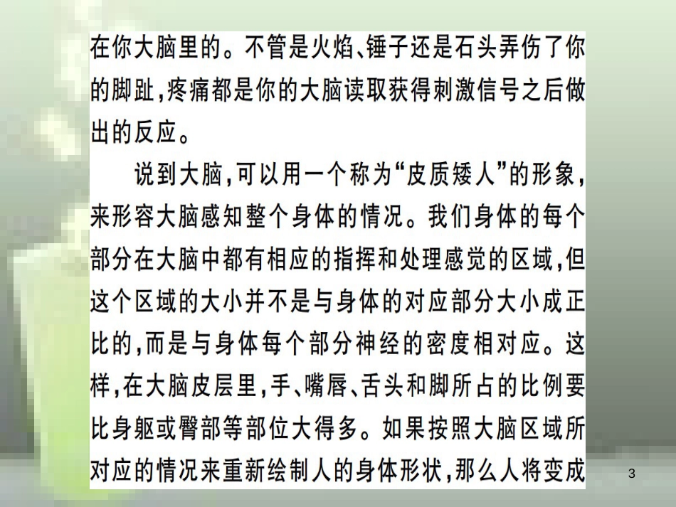 （武汉专用）八年级语文上册 专题六 实用文阅读习题优质课件 新人教版_第3页