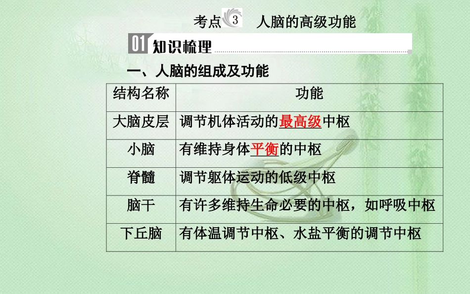高中生物学业水平复习 专题十三 生物生命活动的调节 考点3 人脑的高级功能优质课件_第1页