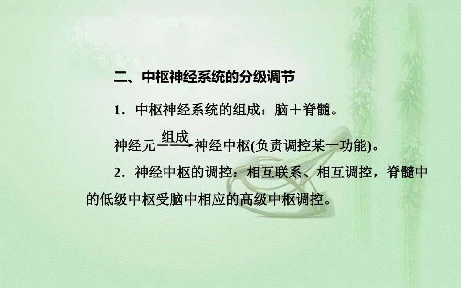 高中生物学业水平复习 专题十三 生物生命活动的调节 考点3 人脑的高级功能优质课件_第2页
