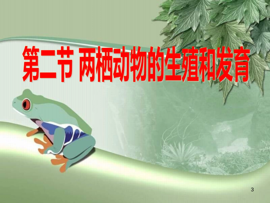八年级生物上册 第四单元 第二章 第二节 两栖动物的生殖和发育优质课件 （新版）济南版_第3页