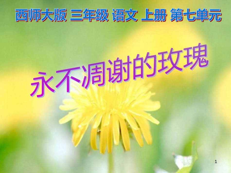 三年级语文上册 第七单元 永不凋谢的玫瑰课件3 西师大版_第1页