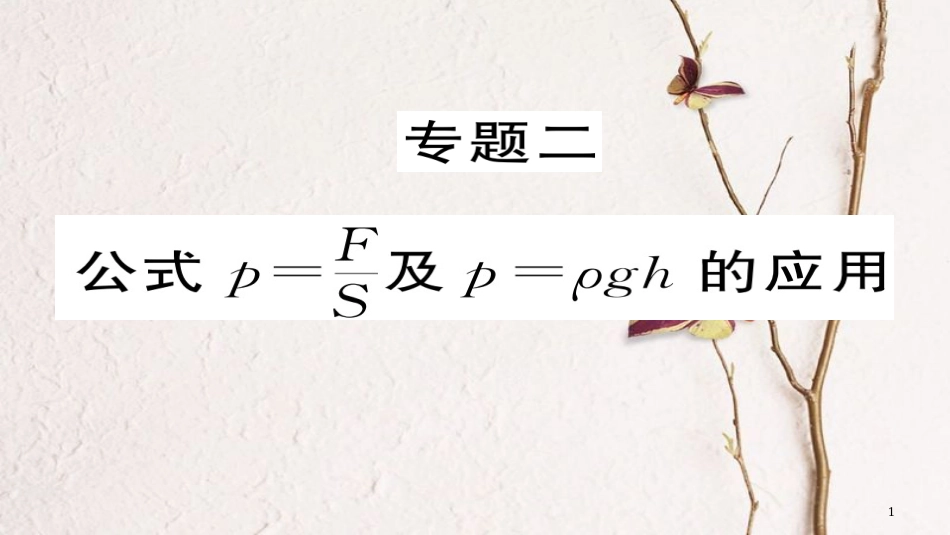 八年级物理下册 专题二 公式p＝F÷S及p＝ρgh的应用习题课件 （新版）新人教版[共21页][共21页]_第1页