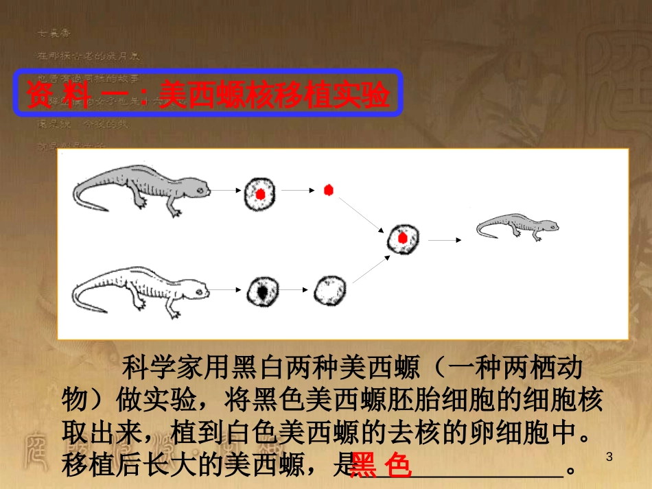 高中生物 专题3.3 细胞核—系统的控制中心优质课件 新人教版必修1_第3页