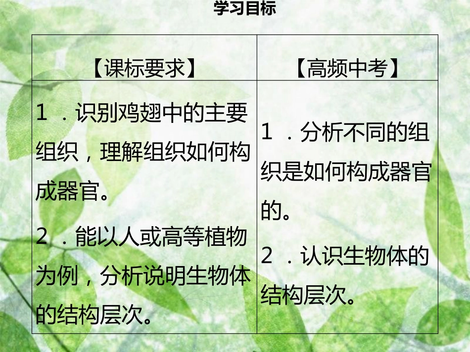 七年级生物上册 第二单元 第4章 第2节 生物体的器官、系统习题优质课件 （新版）北师大版_第3页