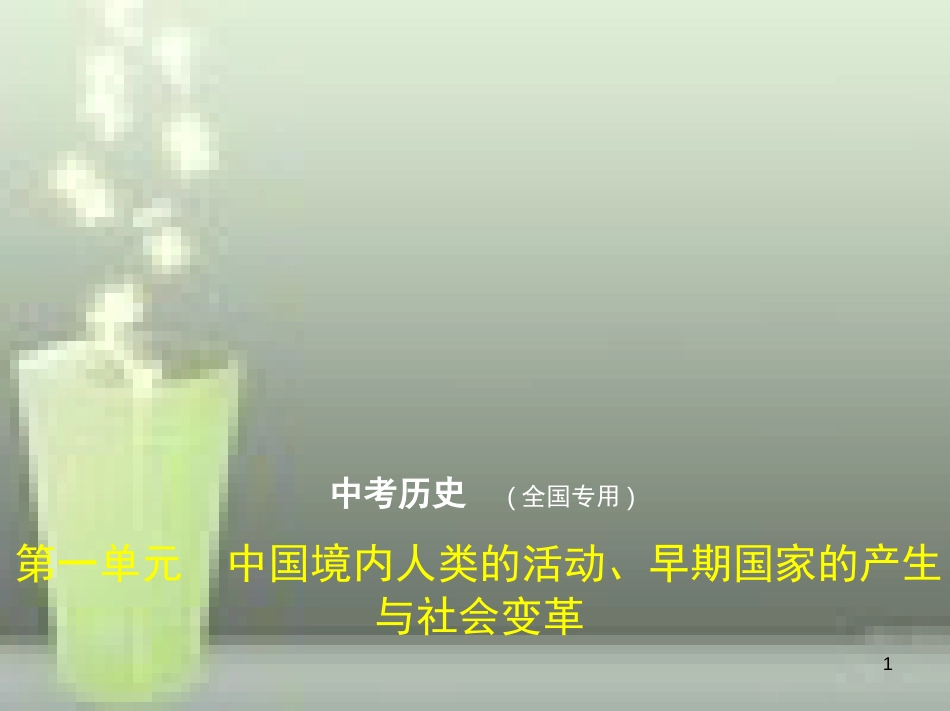 （全国版）2019中考历史总复习 第一单元 中国境内人类的活动、早期国家的产生与社会变革（试卷部分）优质课件_第1页