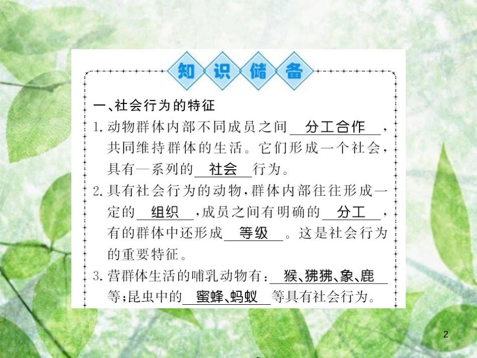八年级生物上册 第五单元 第2章 第3节 社会行为习题优质课件 （新版）新人教版_第2页