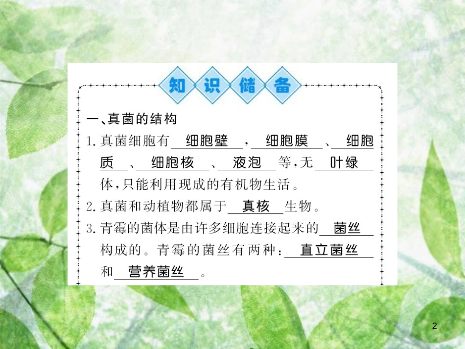 八年级生物上册 第五单元 第4章 第3节 真菌习题优质课件 （新版）新人教版_第2页