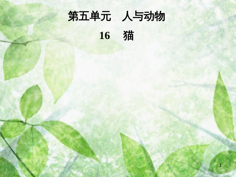 七年级语文上册 第五单元 16猫优质课件 新人教版_第1页