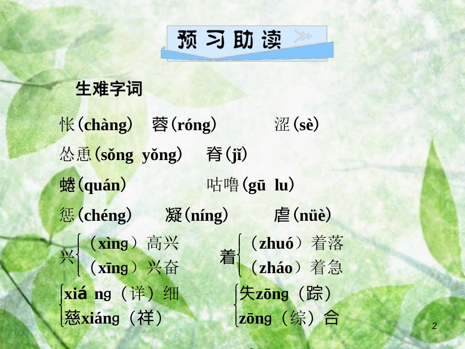 七年级语文上册 第五单元 16猫优质课件 新人教版_第2页