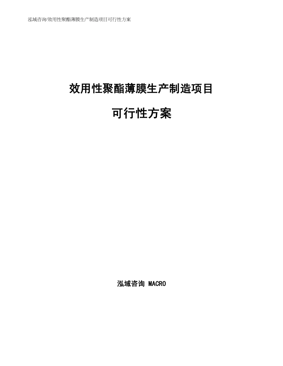 功能性聚酯薄膜生产制造项目可行性方案_第1页