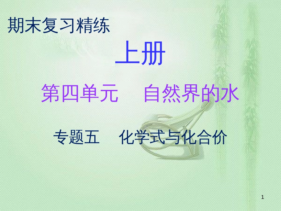 九年级化学上册 期末复习精炼 第四单元 自然界的水 专题五 化学式与化合价优质课件 （新版）新人教版_第1页