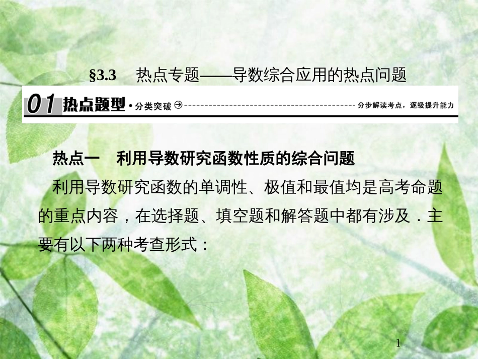 高考数学总复习 3.3 热点专题——导数综合应用的热点问题优质课件 文 新人教B版_第1页