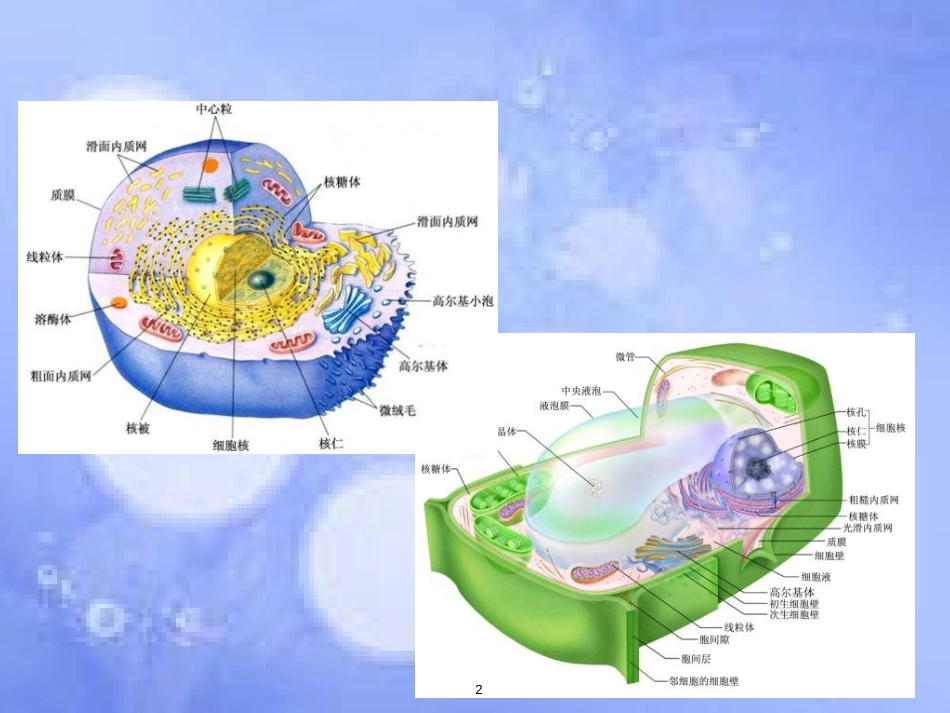 福建省寿宁县高中生物 第四章 物质跨膜运输的实例课件 新人教版必修1_第2页