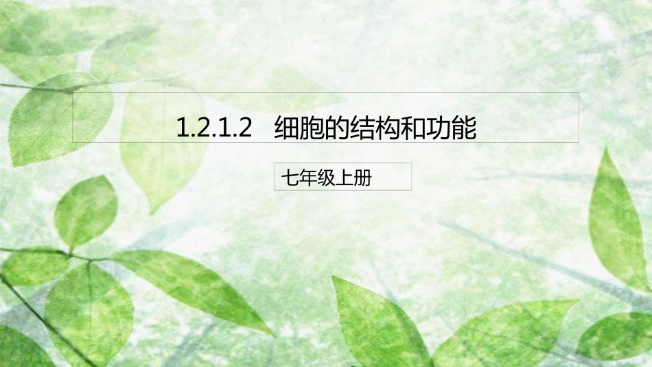 七年级生物上册 1.2.1 细胞的结构和功能优质课件 （新版）济南版_第1页