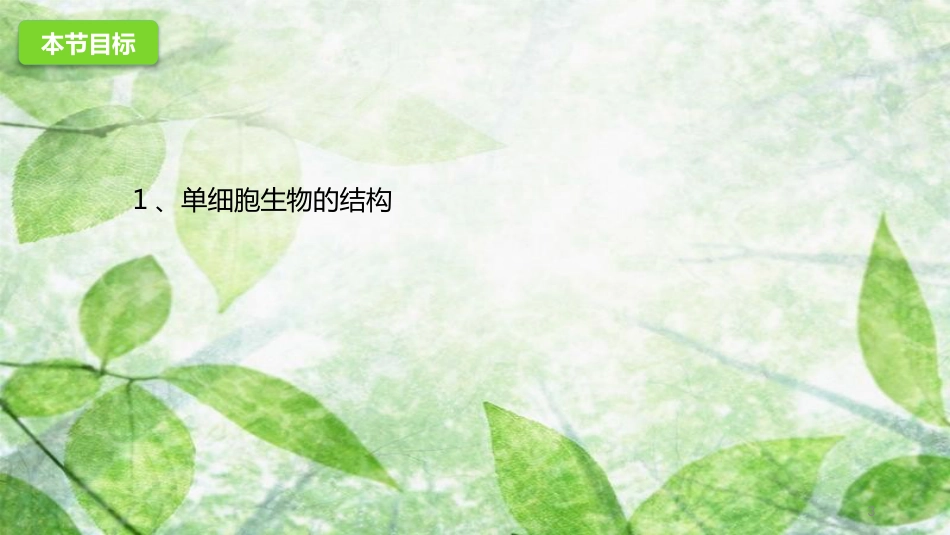 七年级生物上册 1.2.1 细胞的结构和功能优质课件 （新版）济南版_第3页