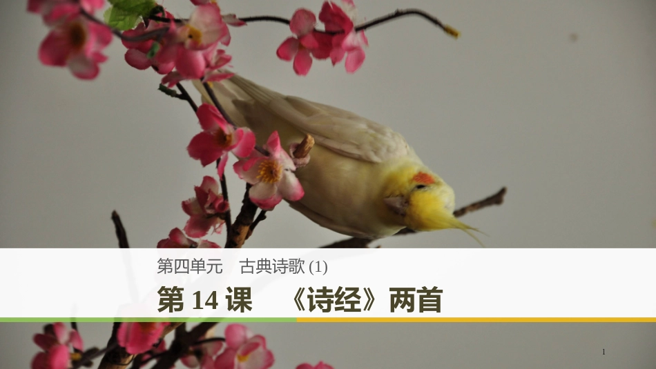 高中语文 第四单元 古典诗歌 第14课《诗经》两首优质课件 粤教版必修1_第1页
