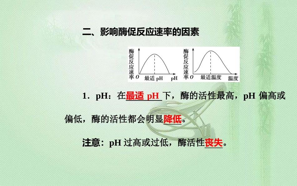 高中生物学业水平复习 专题三 细胞代谢 考点2 酶在代谢中的作用优质课件_第3页