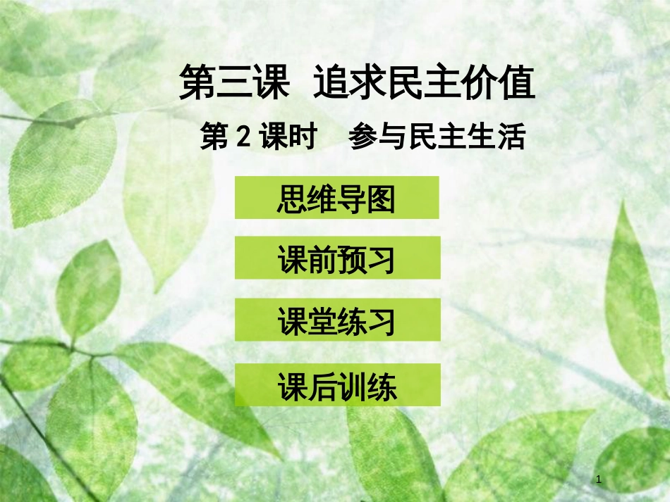 九年级道德与法治上册 第二单元 民主与法治 第三课 追求民主价值 第2框 参与民主生活优质课件 新人教版 (2)_第1页