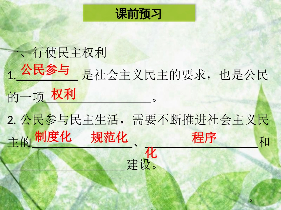 九年级道德与法治上册 第二单元 民主与法治 第三课 追求民主价值 第2框 参与民主生活优质课件 新人教版 (2)_第3页