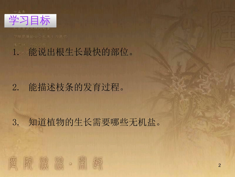 七年级生物上册 第三单元 第二章 第二节 植株的生长优质课件 （新版）新人教版_第2页