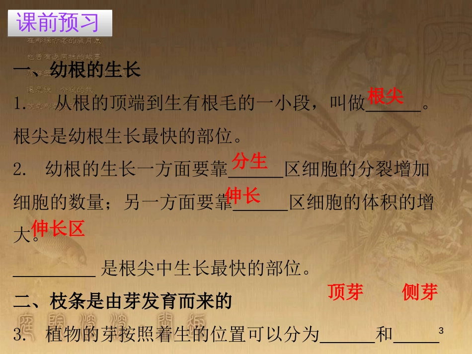 七年级生物上册 第三单元 第二章 第二节 植株的生长优质课件 （新版）新人教版_第3页