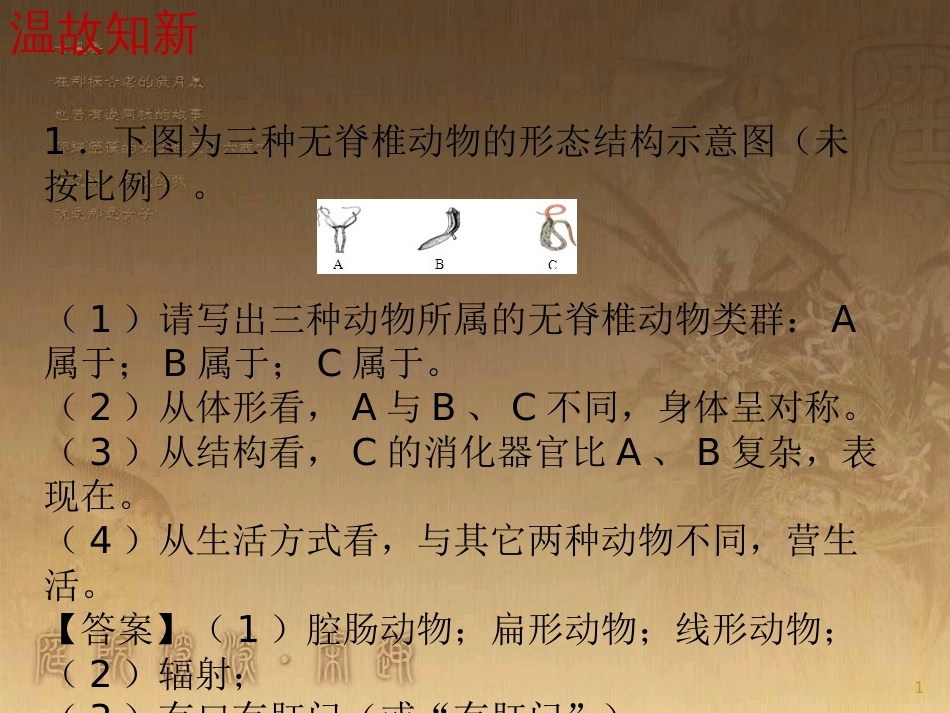 八年级生物上册 5.1.3软体动物和节肢动物优质课件 （新版）新人教版_第1页