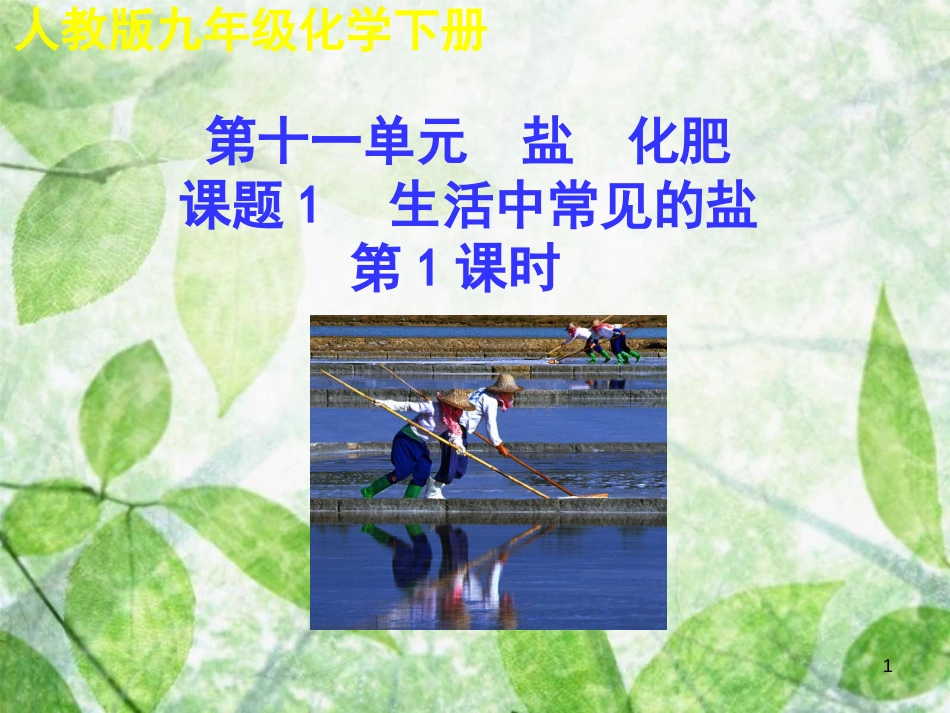 九年级化学下册 第十一单元 盐 化肥 课题1 生活中常见的盐（第1课时）教学优质课件 （新版）新人教版_第1页