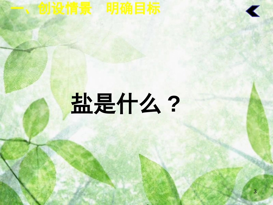 九年级化学下册 第十一单元 盐 化肥 课题1 生活中常见的盐（第1课时）教学优质课件 （新版）新人教版_第3页