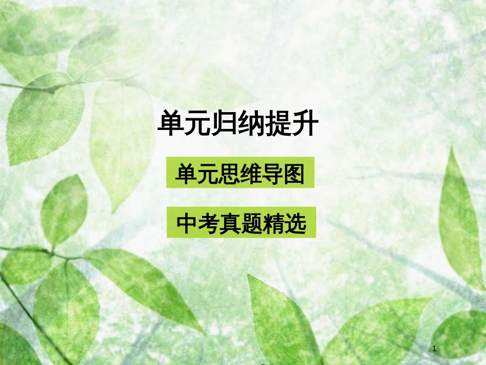 九年级道德与法治上册 第二单元 民主与法治单元归纳提升优质课件 新人教版_第1页