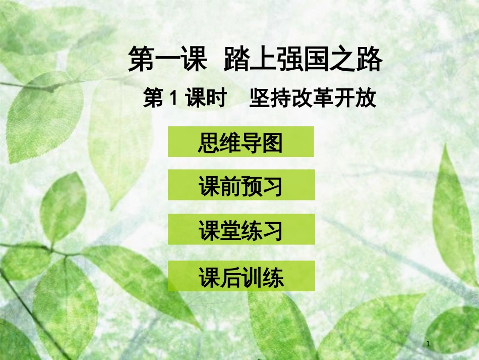 九年级道德与法治上册 第一单元 富强与创新 第一课 踏上强国之路 第1框 坚持改革开放优质课件 新人教版 (2)_第1页