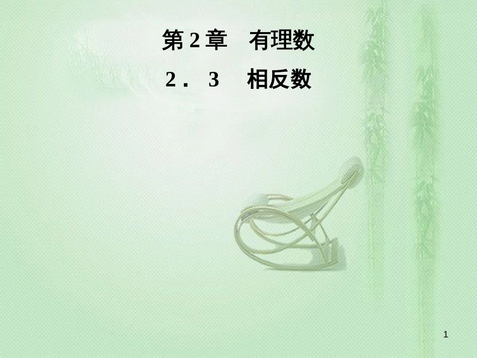 putAAA七年级数学上册 第2章 有理数 2.3 相反数优质课件 （新版）华东师大版_第1页