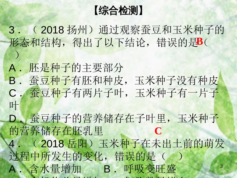 七年级生物上册 第3单元 第6章 绿色开花植物的生活史综合检测(优质课件 （新版）北师大版_第3页