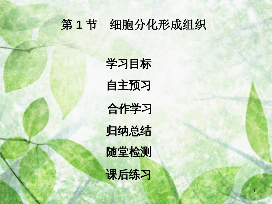 七年级生物上册 第2单元 第4章 第1节 细胞分化形成组织优质课件 （新版）北师大版_第1页