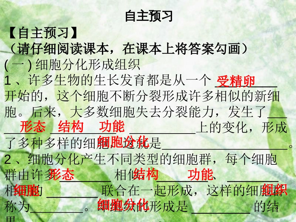七年级生物上册 第2单元 第4章 第1节 细胞分化形成组织优质课件 （新版）北师大版_第3页