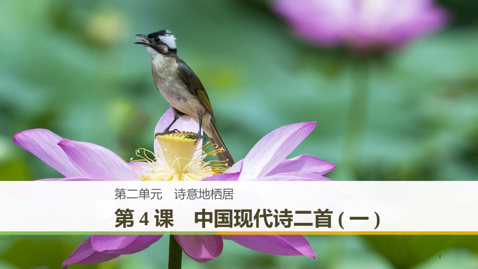 （豫宁）高中语文 第二单元 诗意地栖居 第4课 中国现代诗二首（一）优质课件 语文版必修1_第1页