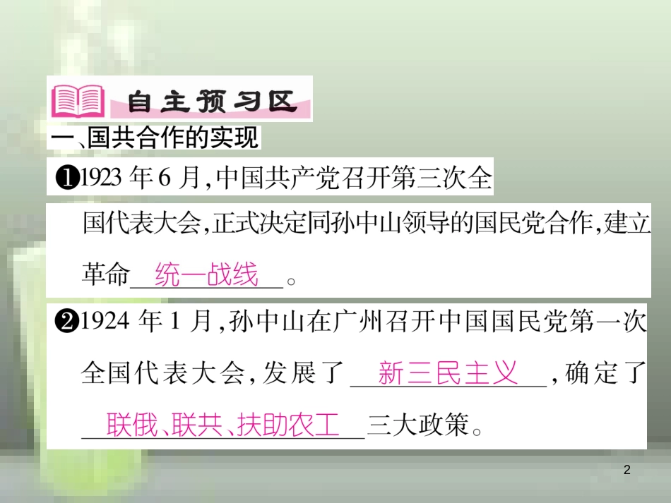 八年级历史上册 第五单元 从国共合作到国共对峙 第15课 北伐战争优质课件 新人教版_第2页