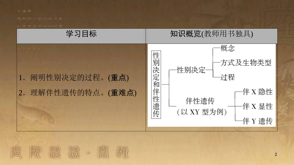 高中生物 第3章 遗传和染色体 第2节 基因的自由组合定律 第2课时 性别决定和伴性遗传优质课件 苏教版必修2_第2页