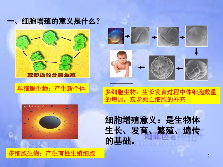 高中生物 第四章 细胞的增殖与分化 4.1 细胞的增殖（2）课件 浙科版必修1_第2页