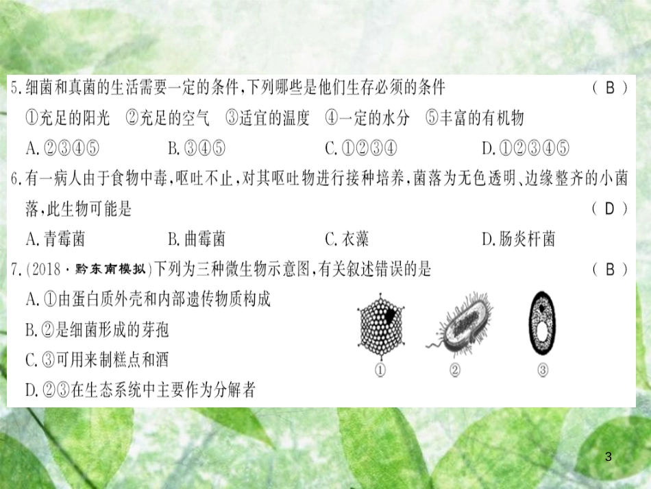 八年级生物上册 第五单元 第四、五章测评卷习题优质课件 （新版）新人教版_第3页