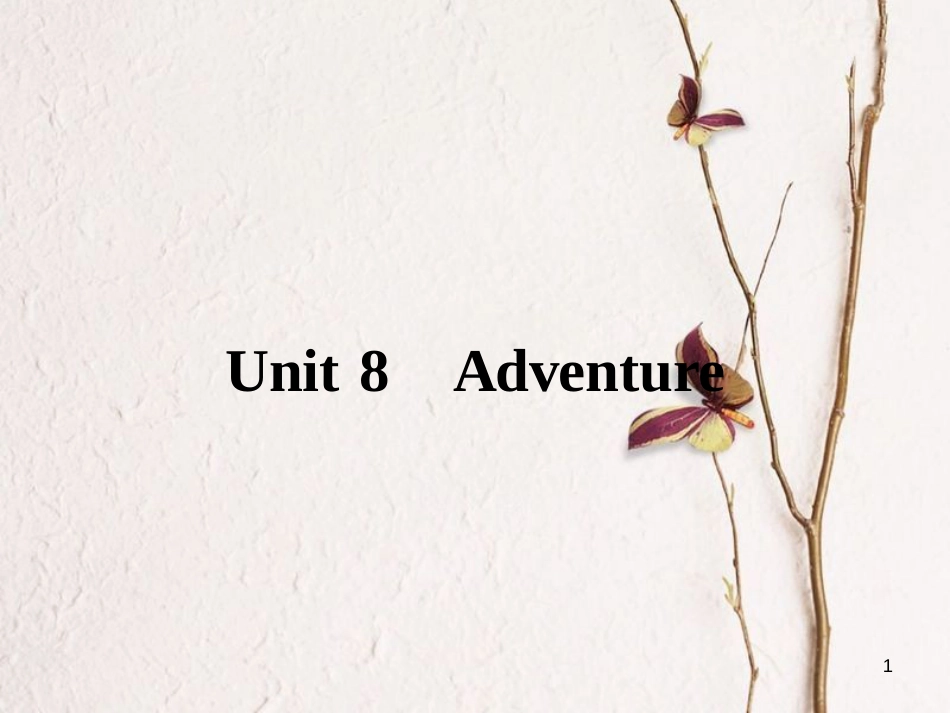 高中英语 Unit 8 Adventure 1 Warm-up & Lesson 1 Adventure Holidays课件 北师大版必修3[共48页][共48页]_第1页