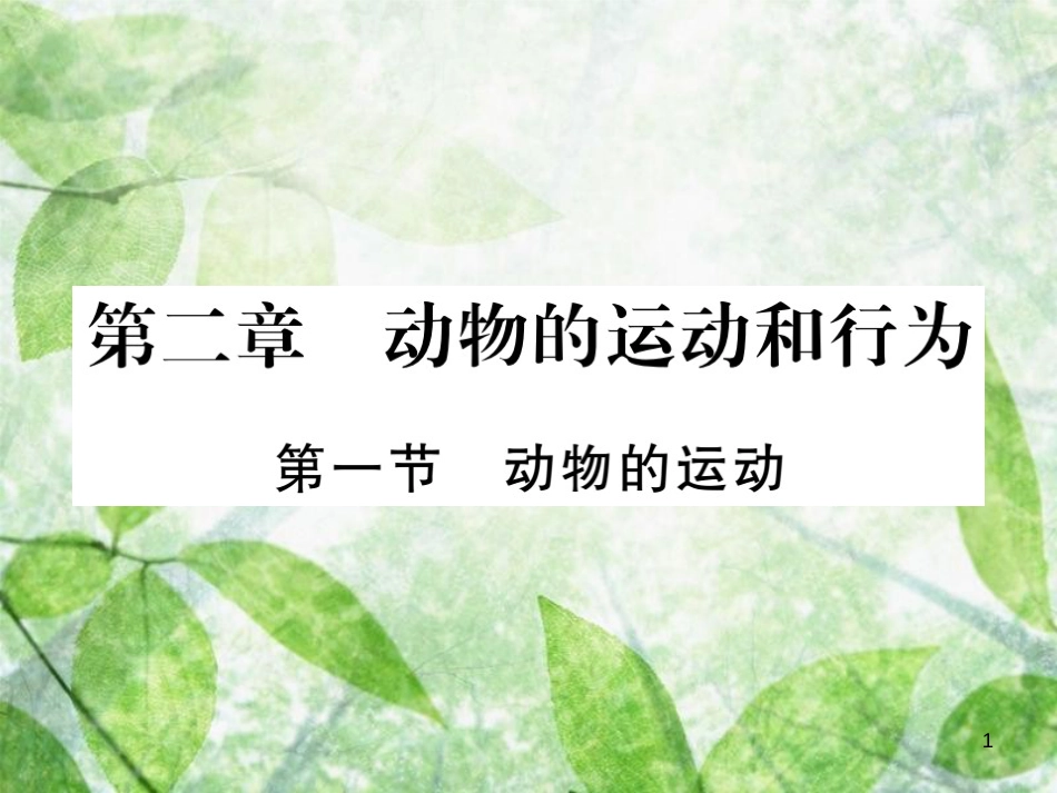八年级生物上册 第五单元 第二章 第一节 动物的运动习题优质课件 （新版）新人教版_第1页