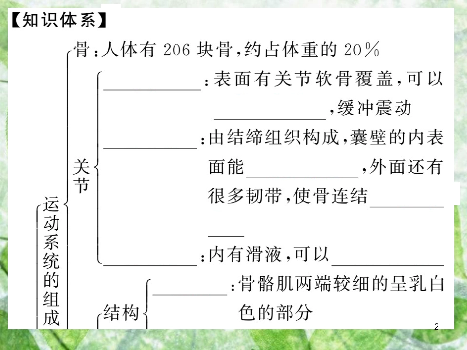 八年级生物上册 第五单元 第二章 第一节 动物的运动习题优质课件 （新版）新人教版_第2页